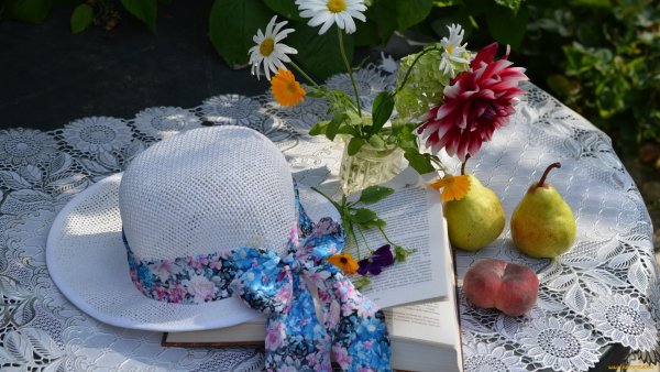 Книги лето натюрморт