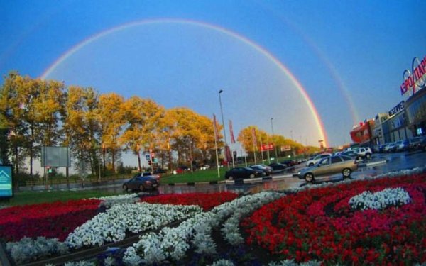 Брянск летом