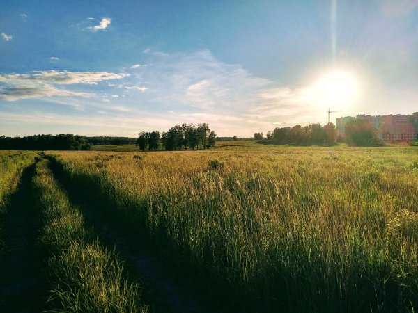 Климово Брянская область природа