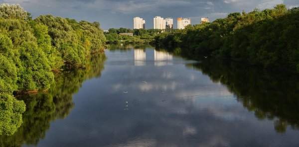 Роща соловьи Брянск