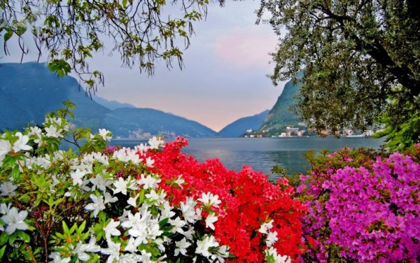 Южный берег Крыма весной