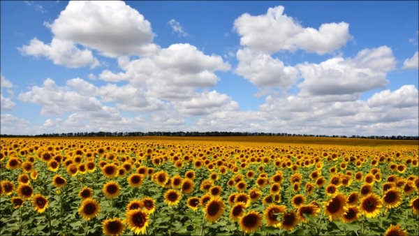 Индийский океан Тайланд