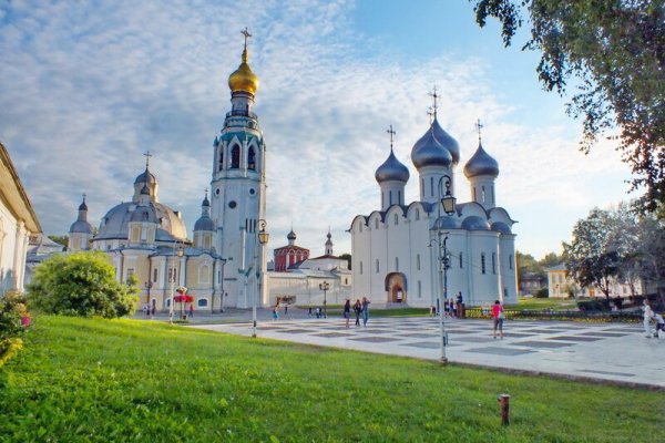 Природа Вологды летом