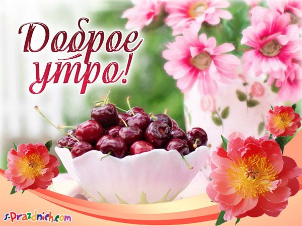 С добрым летним утром