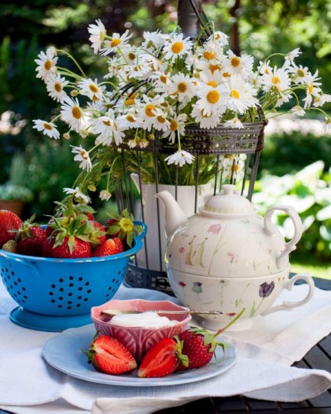 Красивое поздравление летнее с добрым утром