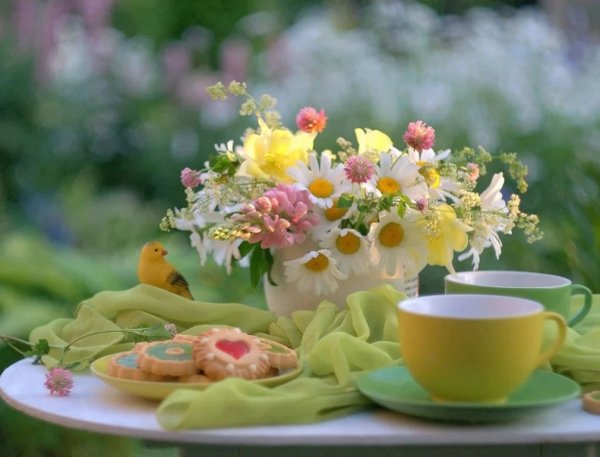 Августовские полевые цветы