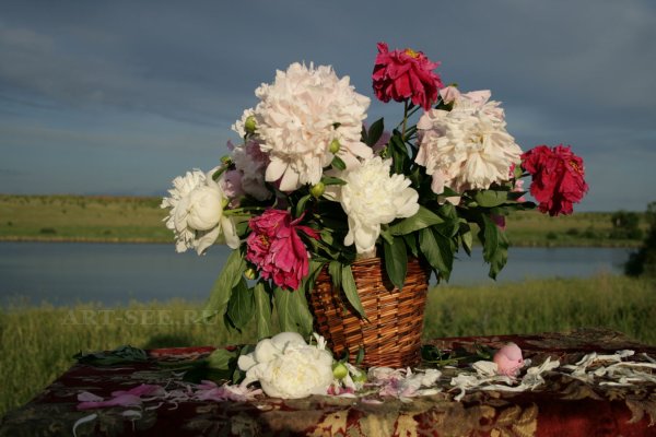 Букет цветов пионы и море