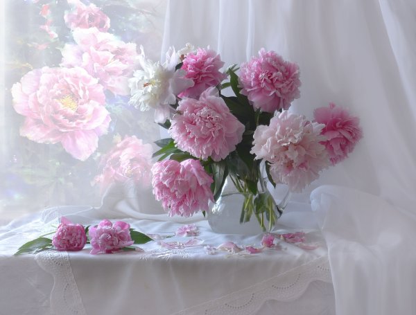 Нежнейшие пионы (Таня Шашкина)