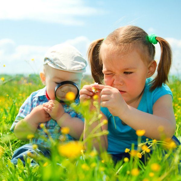 Маленькая Страна текст Королева