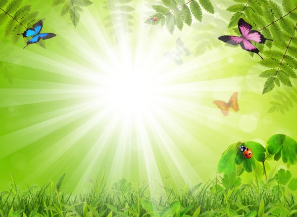 Всемирный день окружающей среды