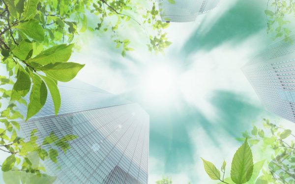 Фон для презентации по экологии