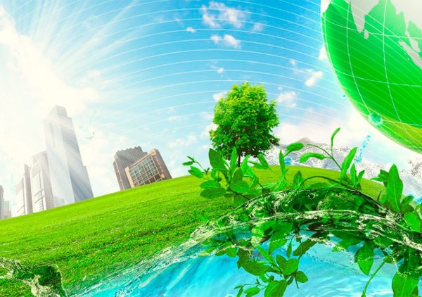 Экология для дошкольников