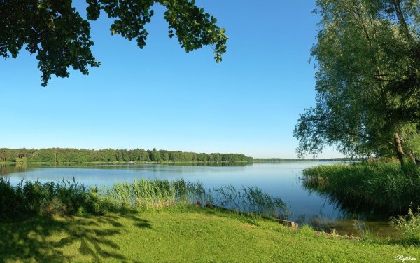 Александровский пруд Березовский
