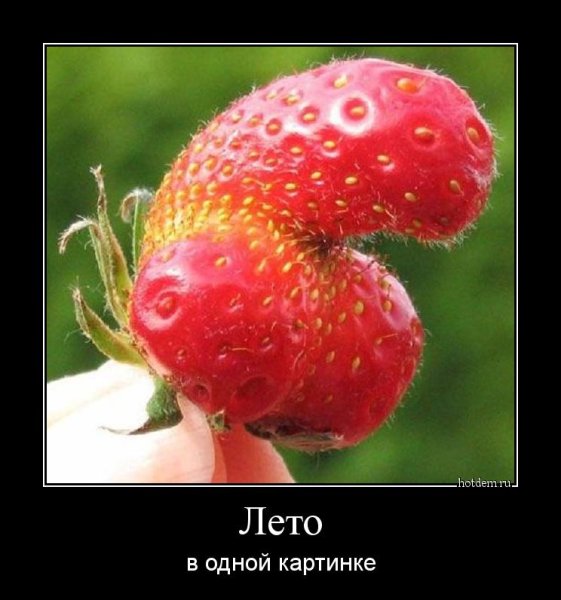 Смешная клубника