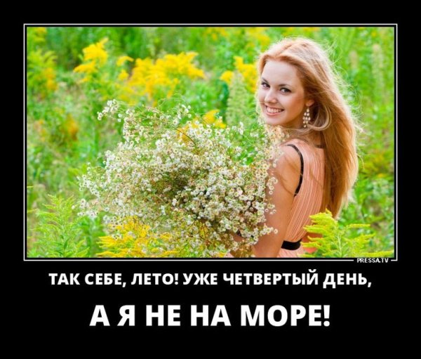 Демотиваторы про лето