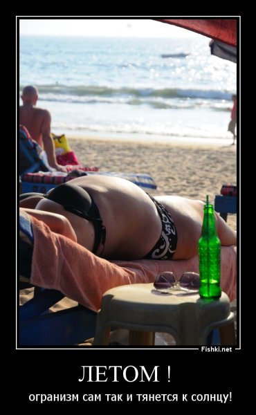 Демотиваторы про лето ржачные