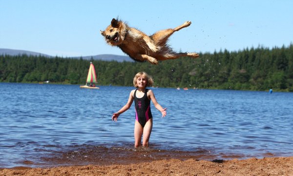 С летом прикольные