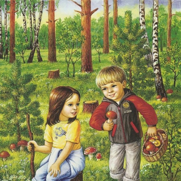 Баннер с изображением природы