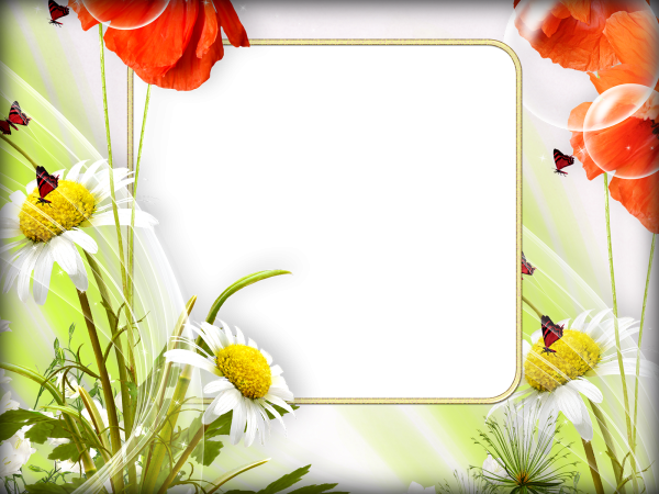 Летняя рамка