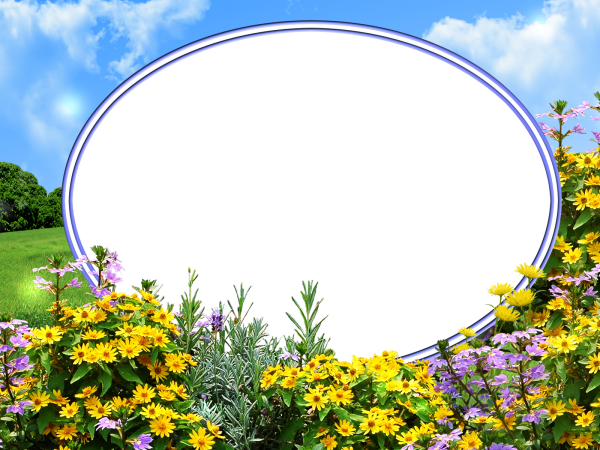 Летняя рамка