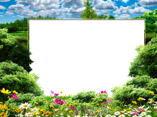 Сказочное лето