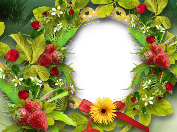 Фоторамка с бабочками