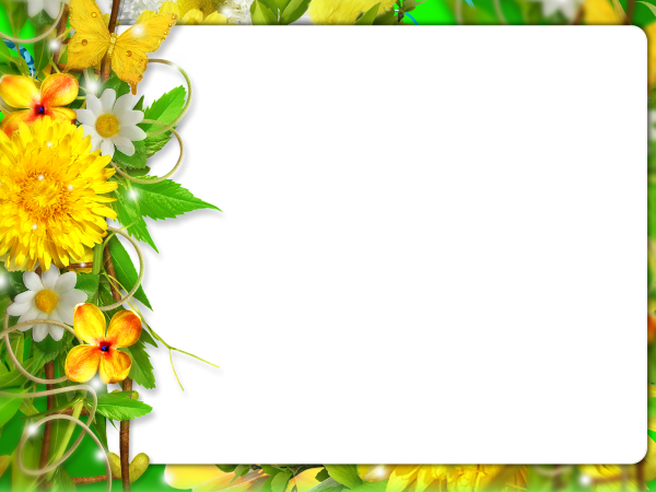 Коллаж на летнюю тему