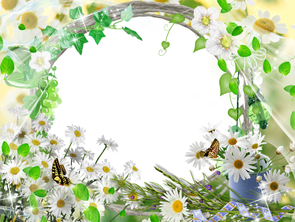 Поляна с цветами и бабочками