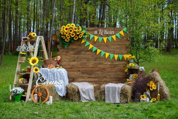 Необычные фотозоны