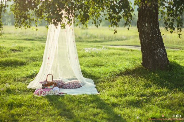Арбузный пикник фотосессия