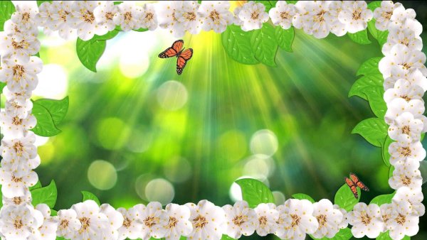 Рамка Подсолнухи