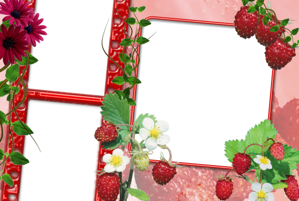 Цветочки на прозрачном фоне