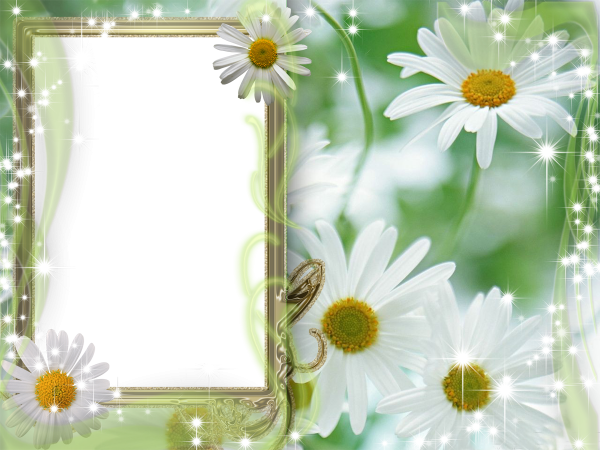 Прозрачные рамки для презентации