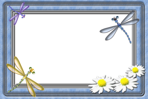 Летняя рамка для текста