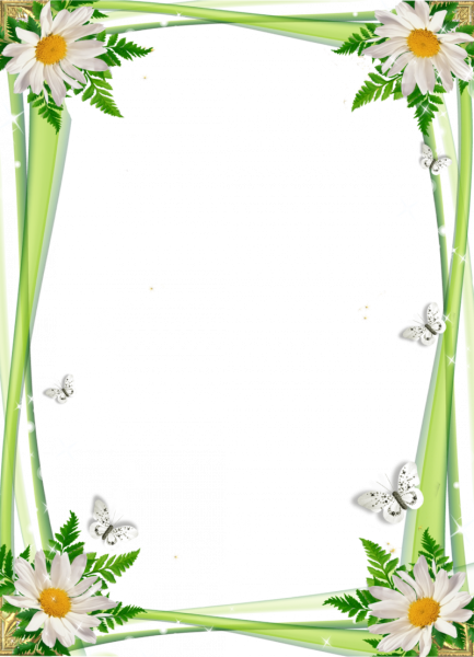 Разноцветное лето