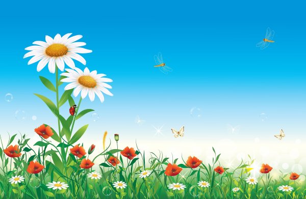 Красивый летний фон