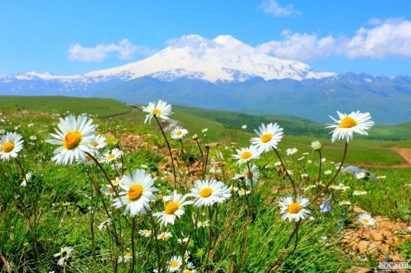 Альпийские Луга Кисловодск