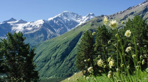 Альпийские Луга Кавказа