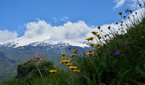 Альпийские Луга Кабардино-Балкарии Кавказа