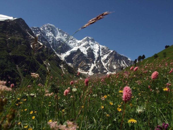 Гора Чегет в Кабардино-Балкарии