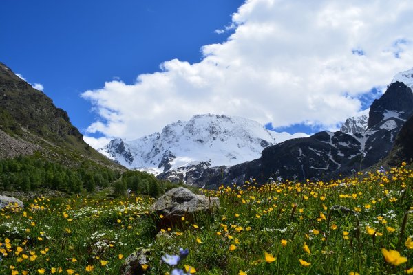 Трекинг Эльбрус восхождение треккинг