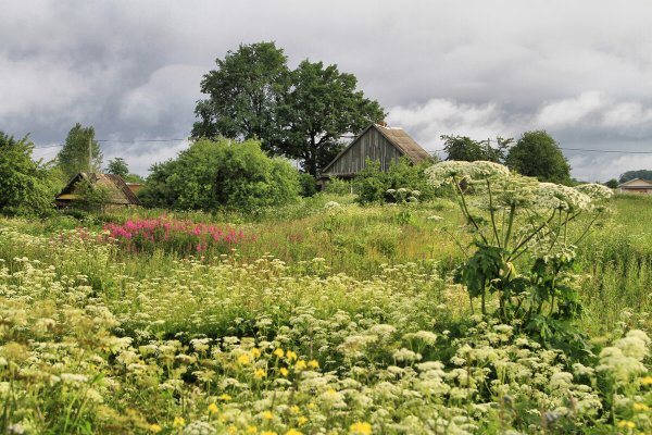 Тверская область природа деревня