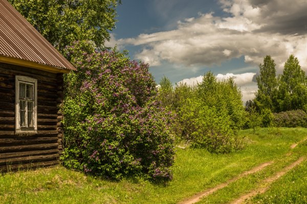Беларусь красивые деревни