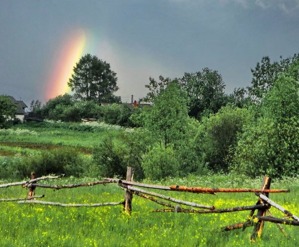 Природа лето деревня