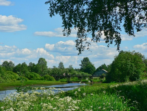 Летняя природа в деревне