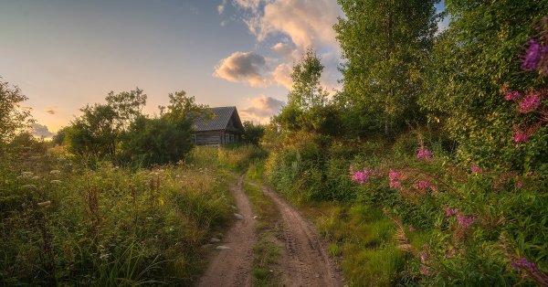 Лето в селе