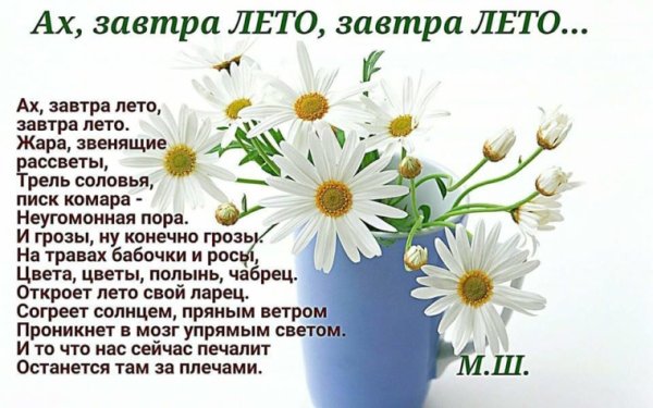 Завтра лето стихи