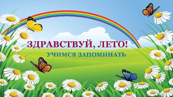 Лето для детей в детском саду