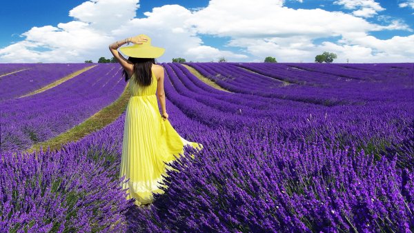 Лаванда Шерон Робертс