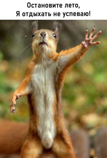 Что нибудь веселое